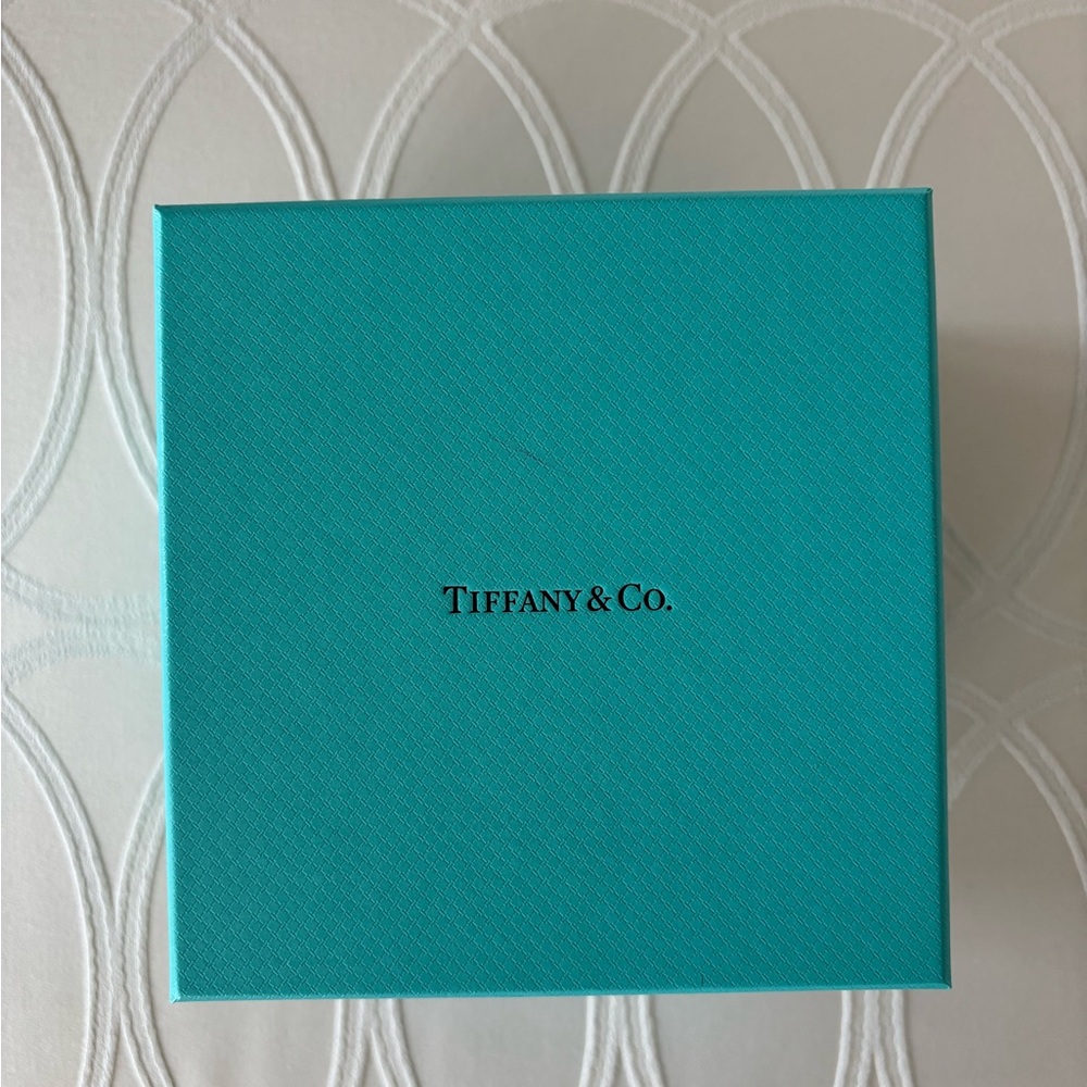 Tiffany & Co. Blue Box- new as of 3/23/2025!  Perfect condition. 4x5 with flap.